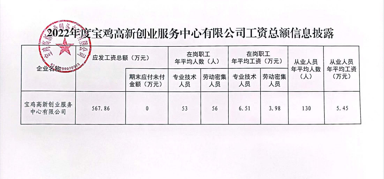 2022年度工资信息.png